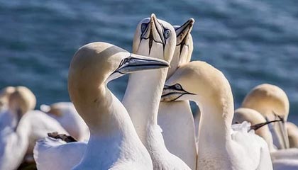 宜阳伴游,定制QQ:3494206190微信:act1322